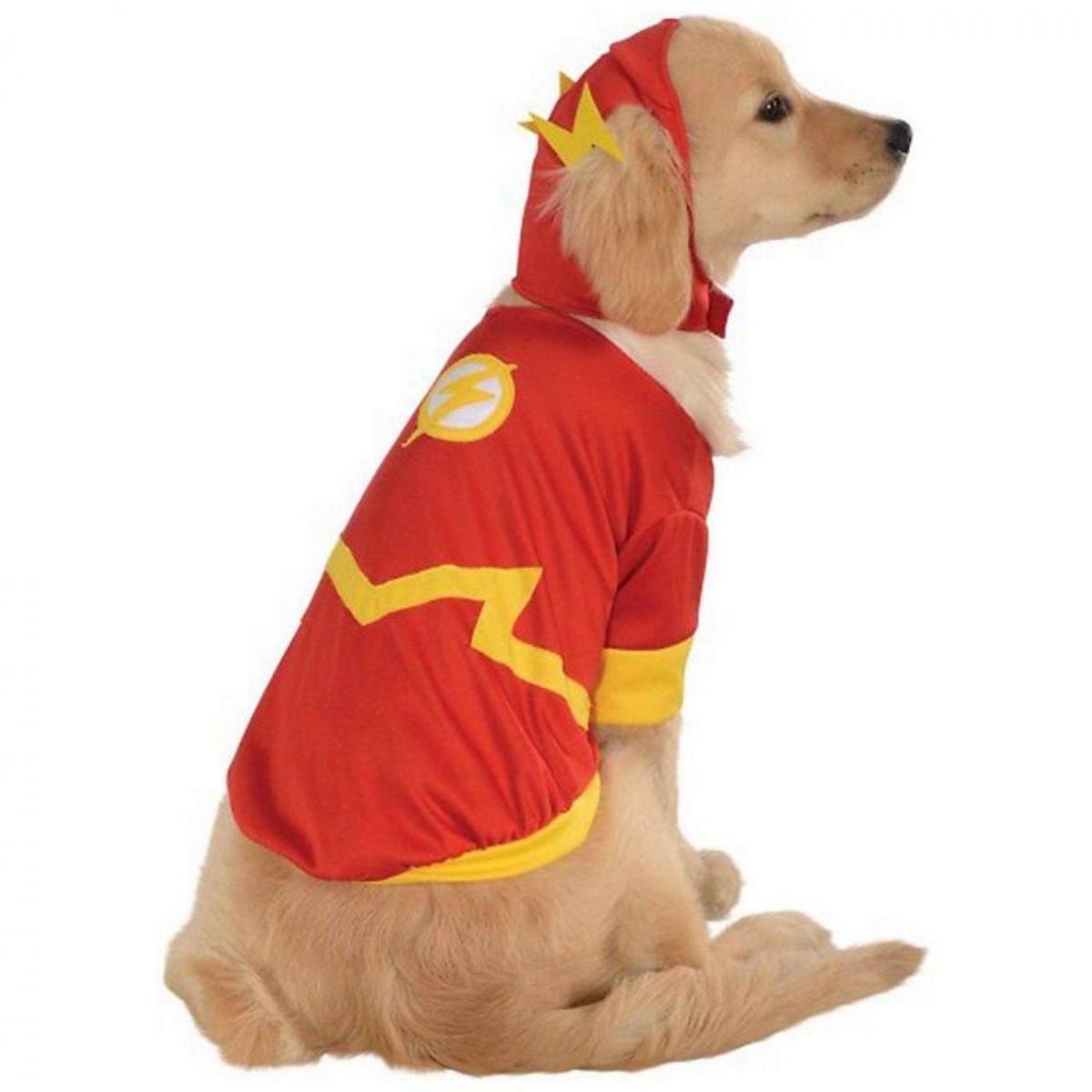 Flash dog Halloween Costume