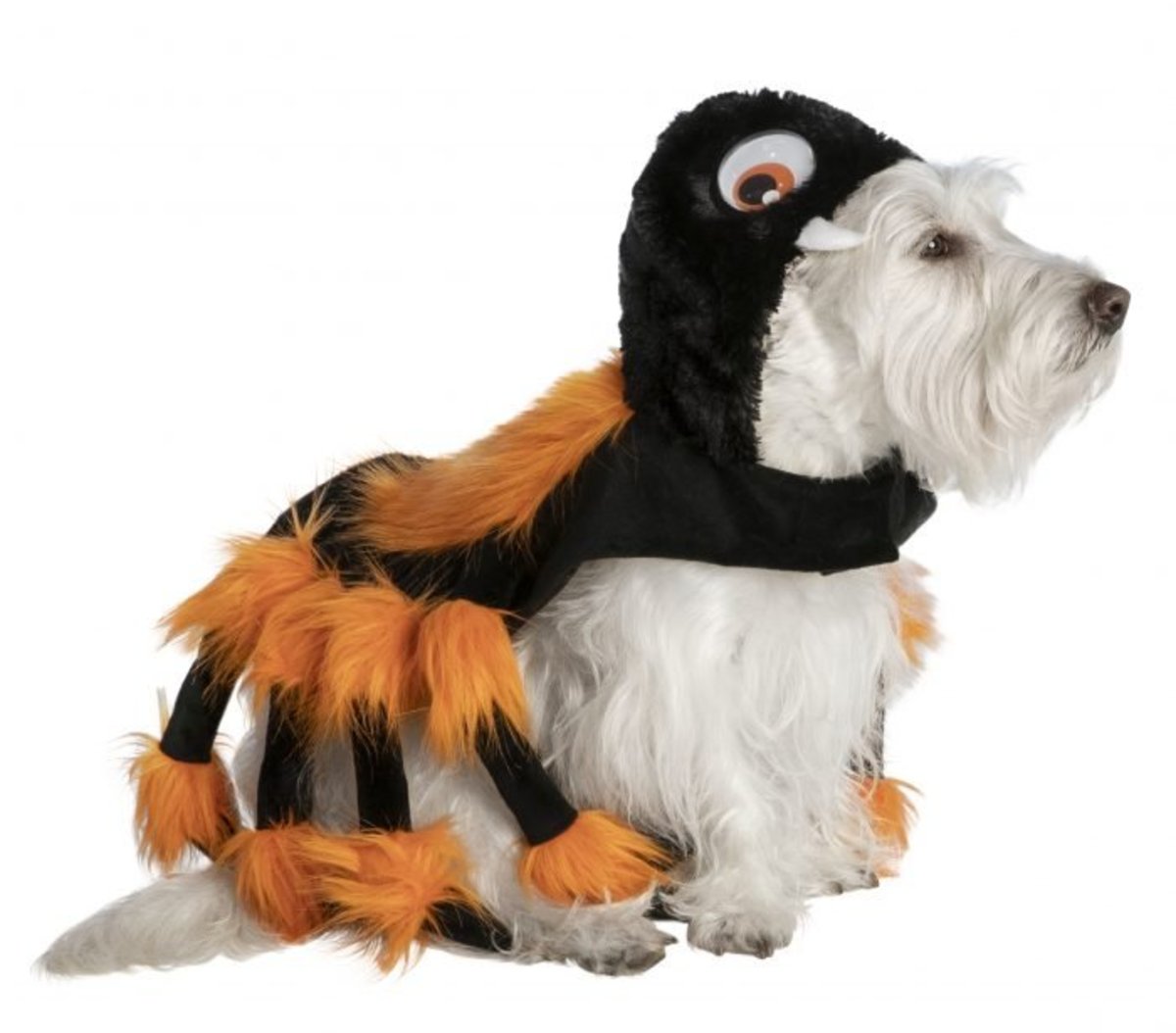 Pet Halloween Costumes_Dog_Spider