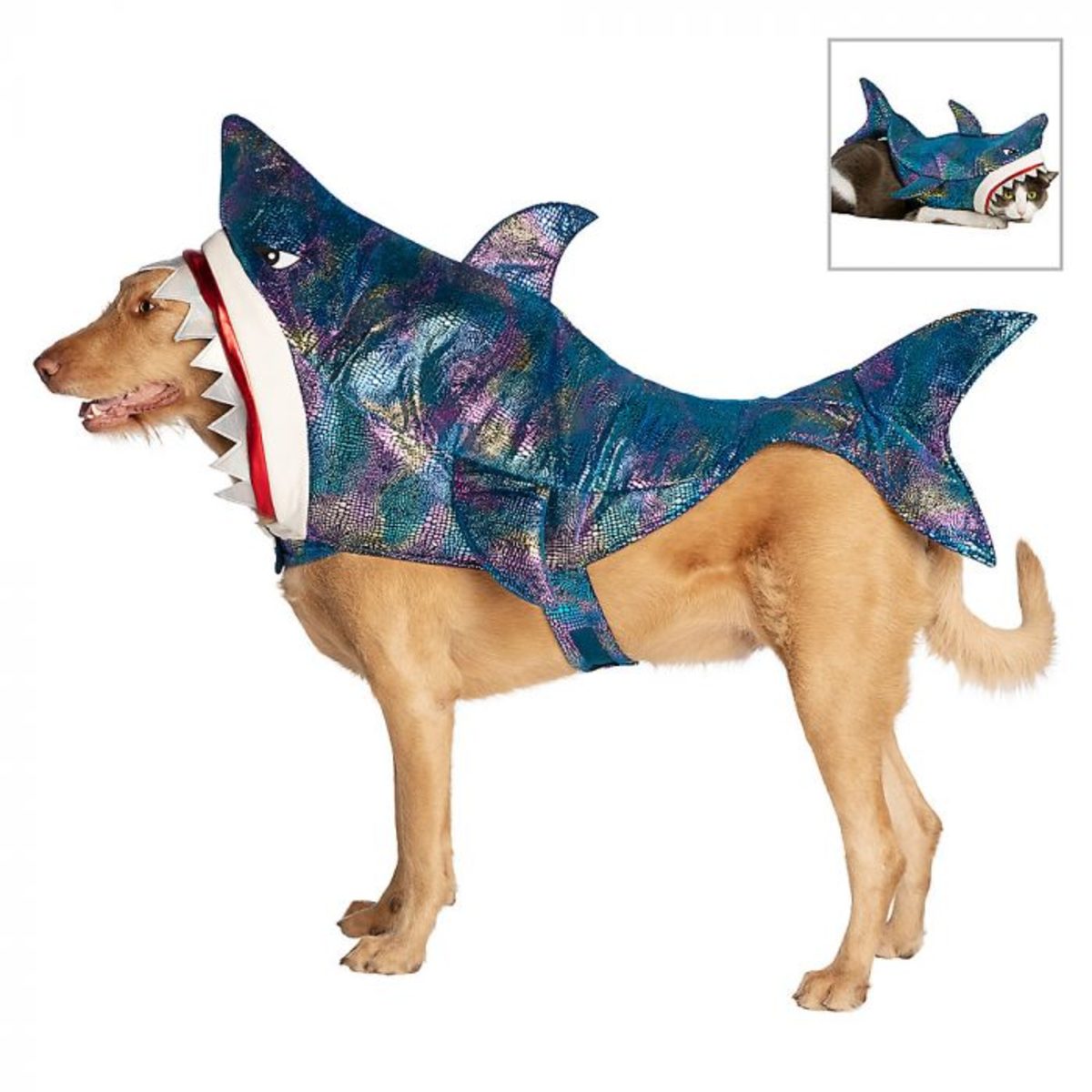 Shark Dog Halloween Costume