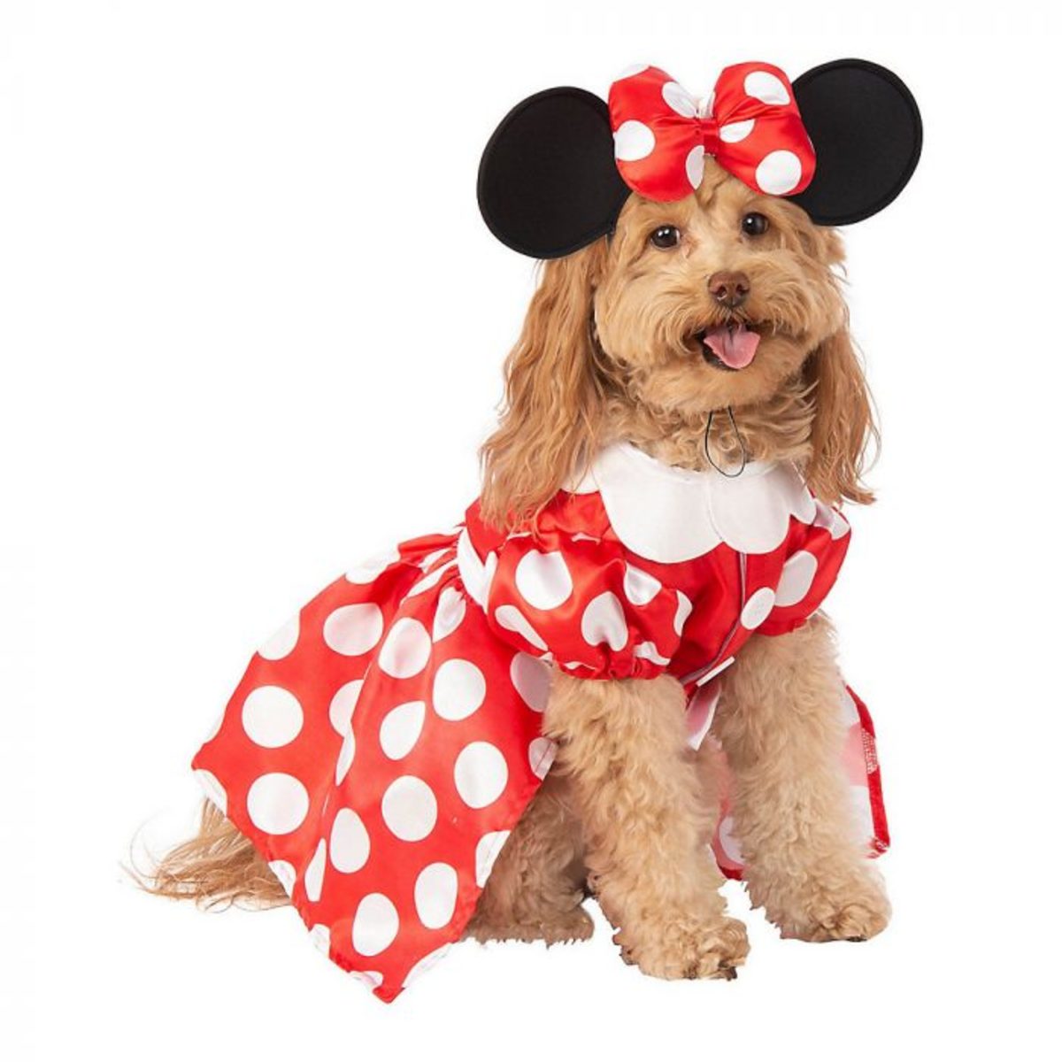 Minnie Mouse Dog Halloween Costume