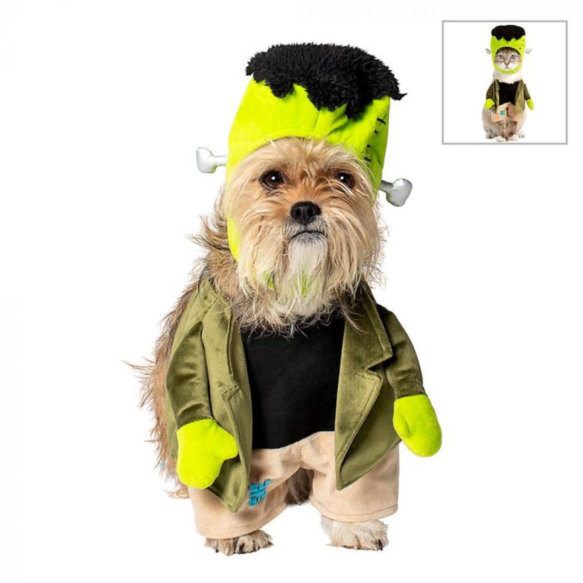 Pet Halloween Costumes_Dog_Frankenstein