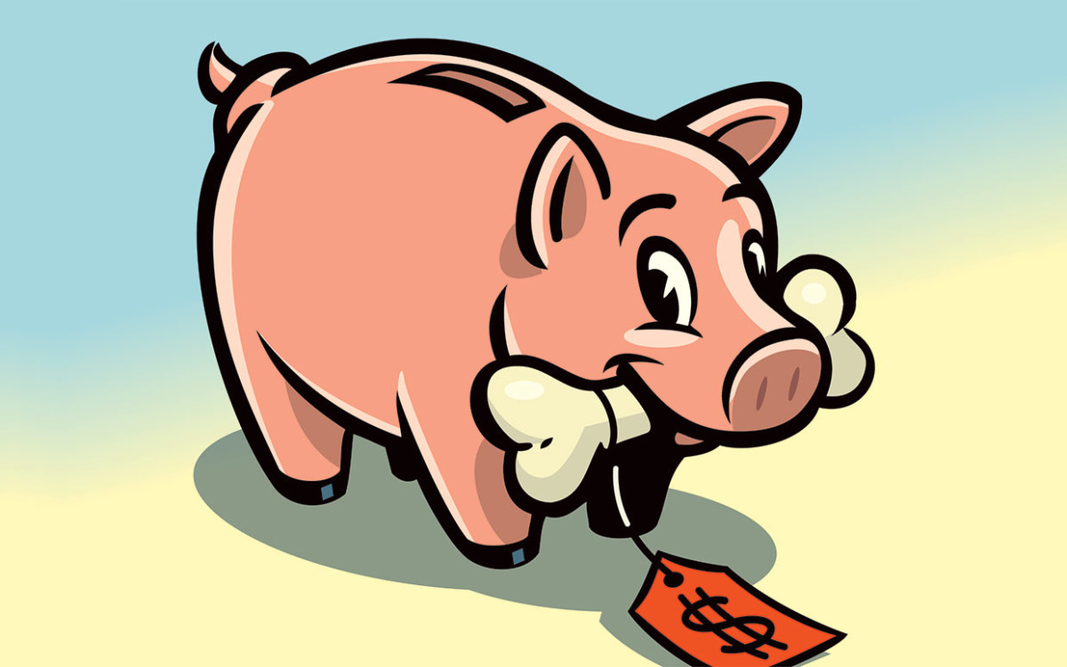 4 Ways to Save on Pet Costs Parade Pets