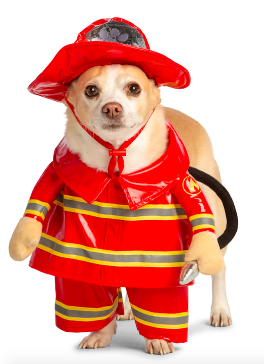 Pet Halloween Costumes_Dog_Fireman