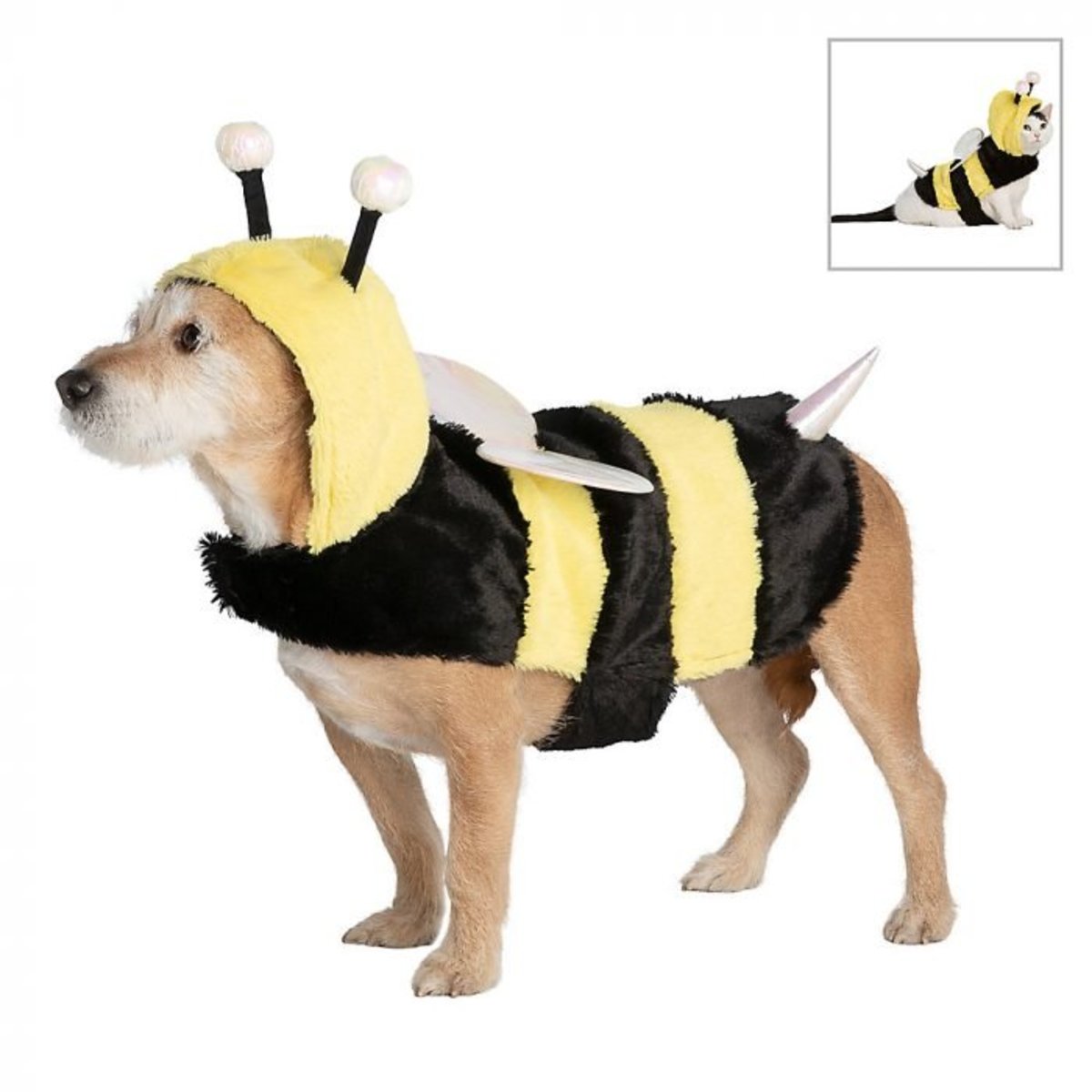 Bumble Bee Dog Halloween Costume