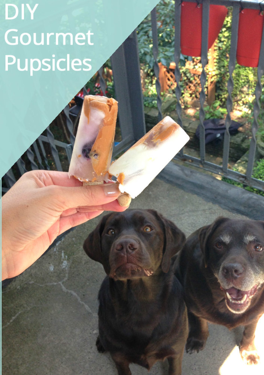 https://paradepets.com/.image/t_share/MTkxMzY1Nzg5NDg1NzA0NzM3/diy-gourmet-pupsicles.jpg