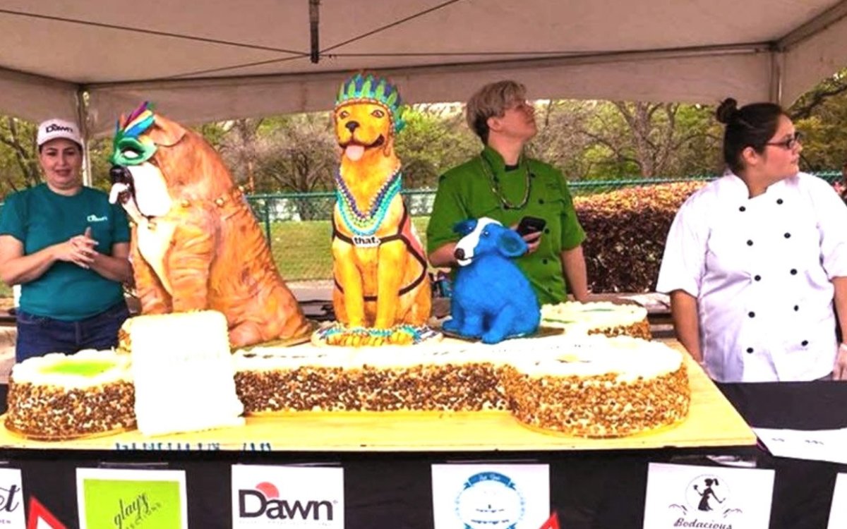 This Is the Guinness Record Holder for Biggest Dog Cake - Parade Pets