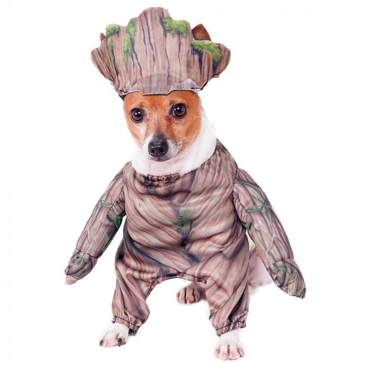 Groot Dog Halloween Costume