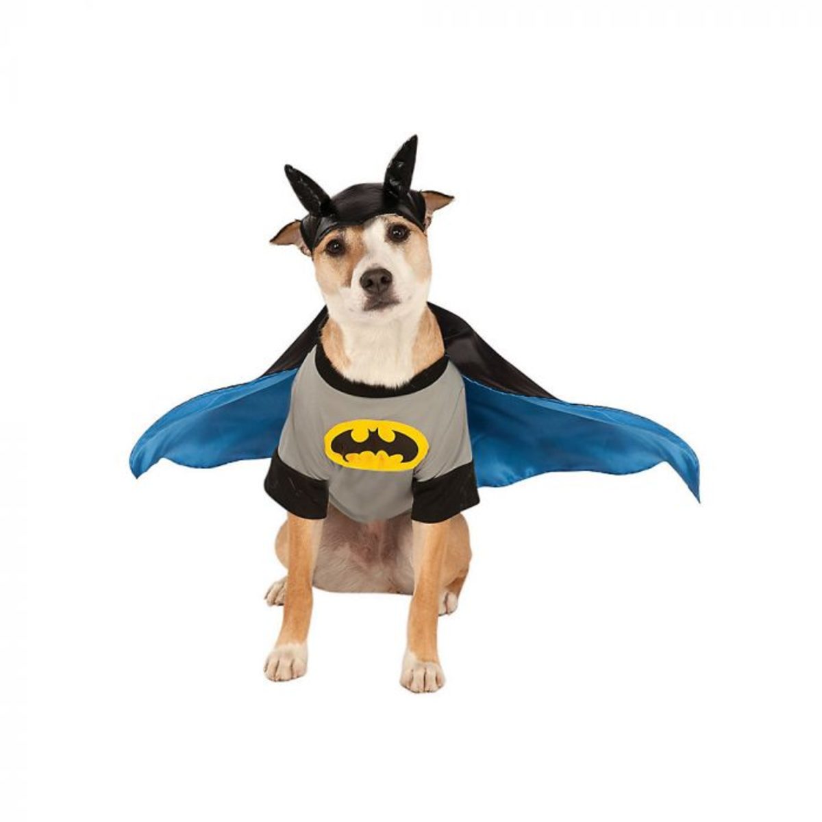 Batman Dog Halloween Costume