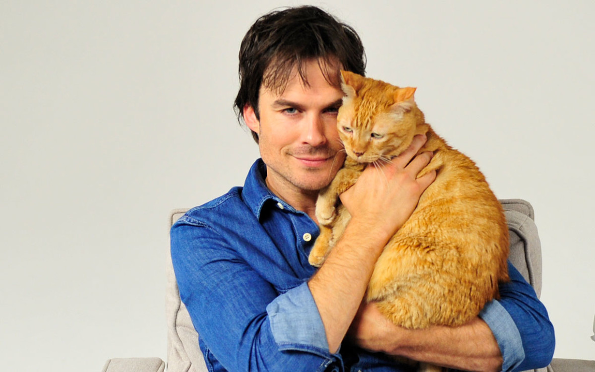 The Funny Tradition The Vampire Diaries' Ian Somerhalder Has With His Cats Parade Pets