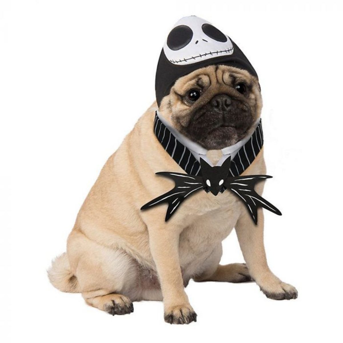 Jack Skellington Dog Halloween Costume