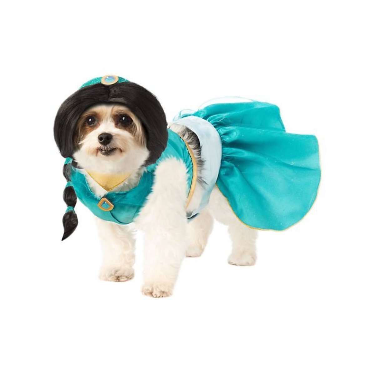 Jasmine Dog Halloween Costume