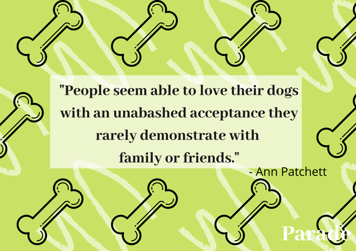 300-best-pet-quotes-to-share-your-love-parade-pets