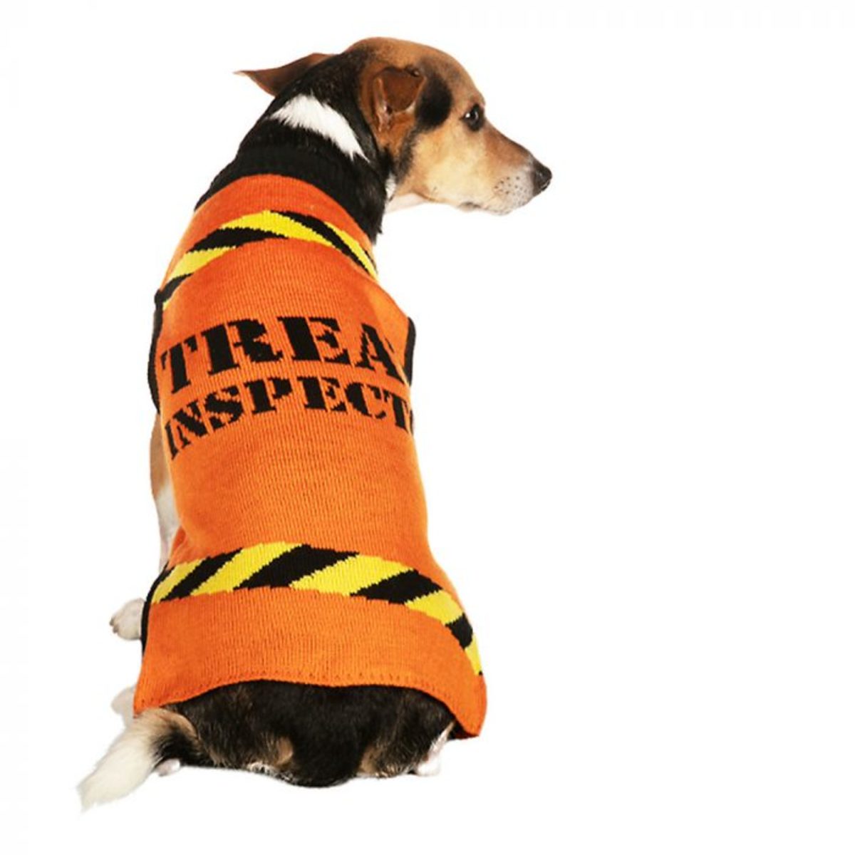 Treat Inspector Dog Halloween Costume