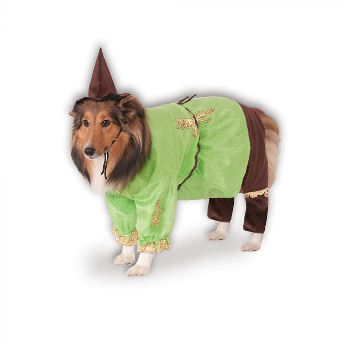 My Favorite Halloween Dog Costumes – Treat Dreams