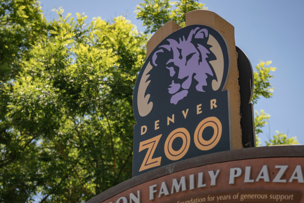 denver-zoo-announces-one-of-their-animals-is-about-to-be-a-mom-in-cute