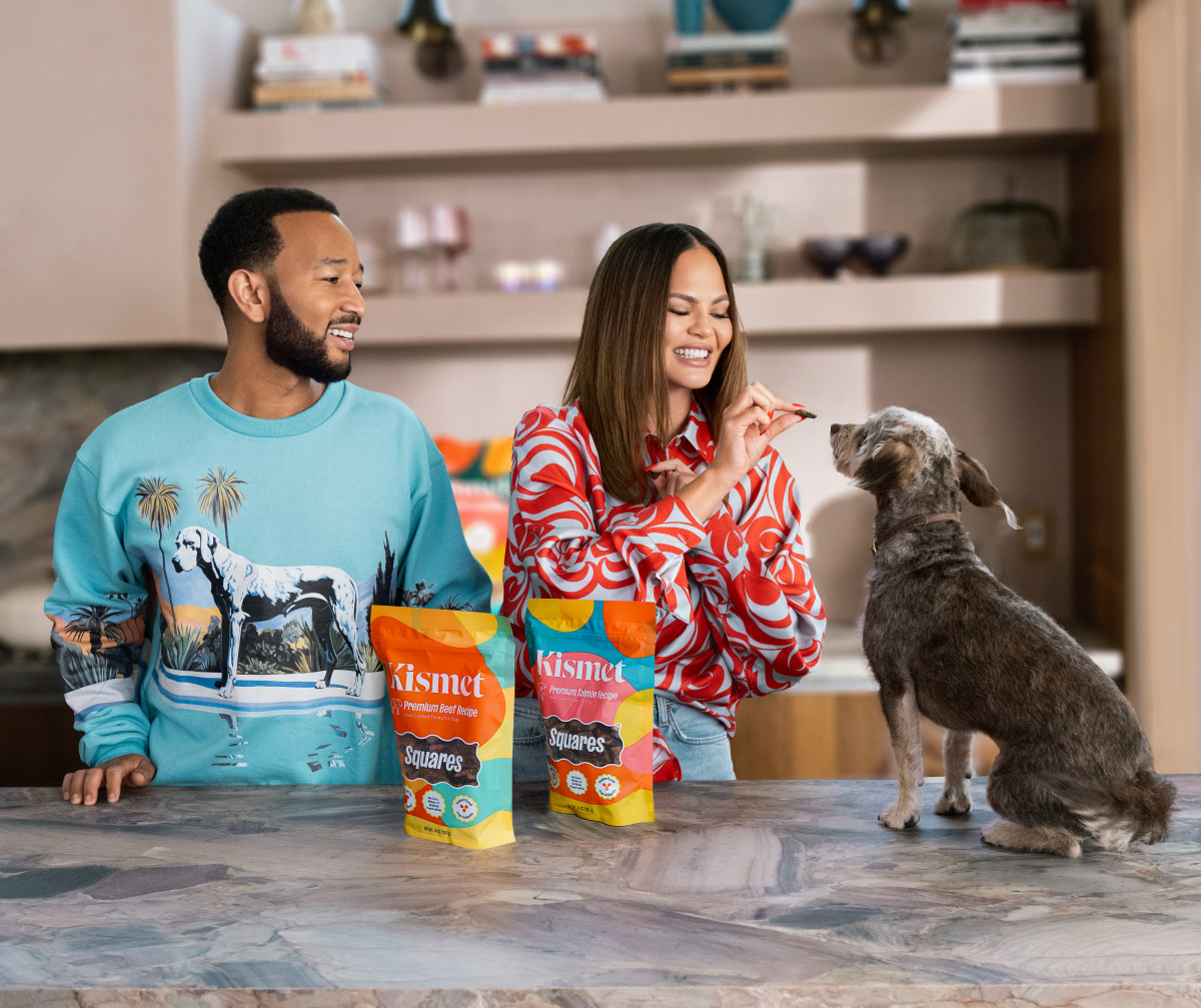 Kismet Pet Food: A Path to Nourishment and Delight