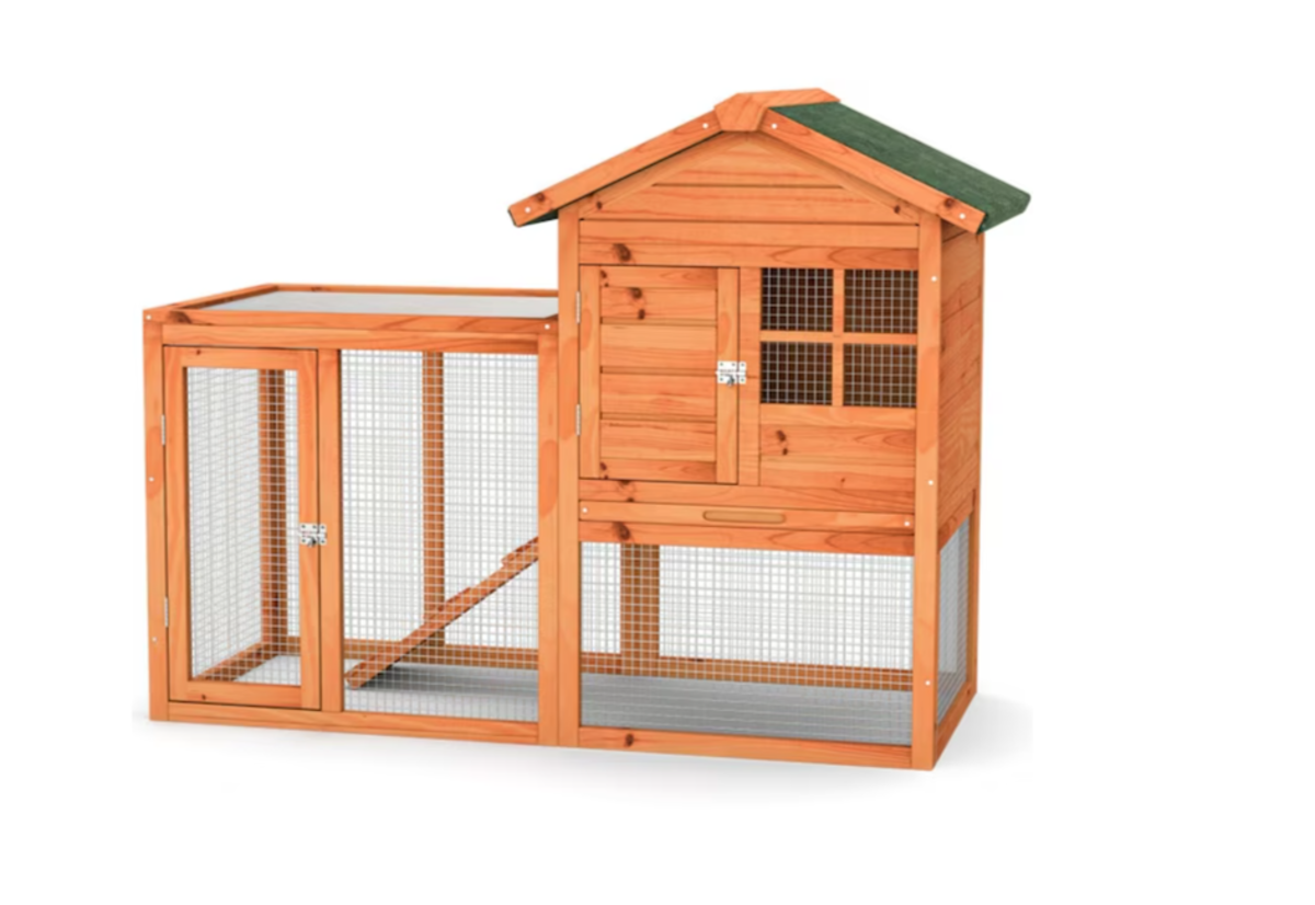 Lowe's Is Selling the Cutest Chicken Coop for Over 50 Off Parade Pets