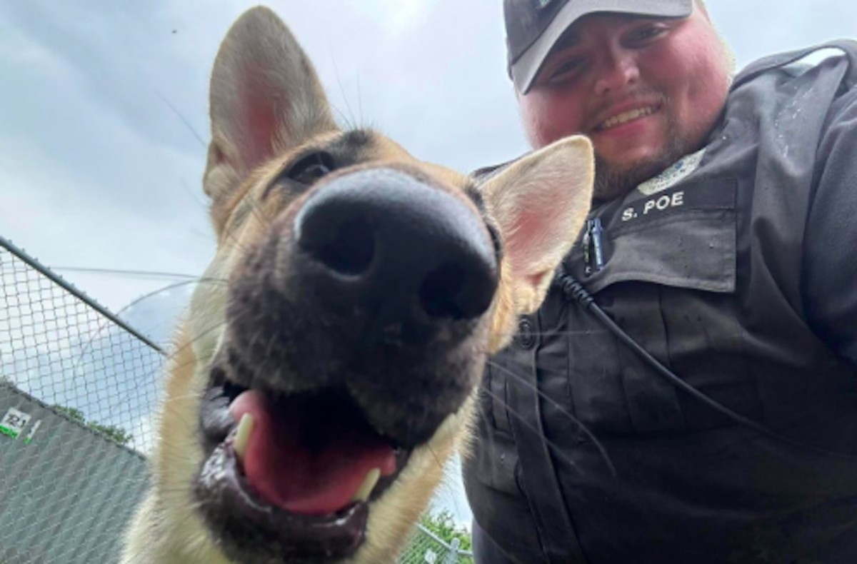 Dog in Hot Car in Indiana Honks Horn To Alert Police Officer to Save ...