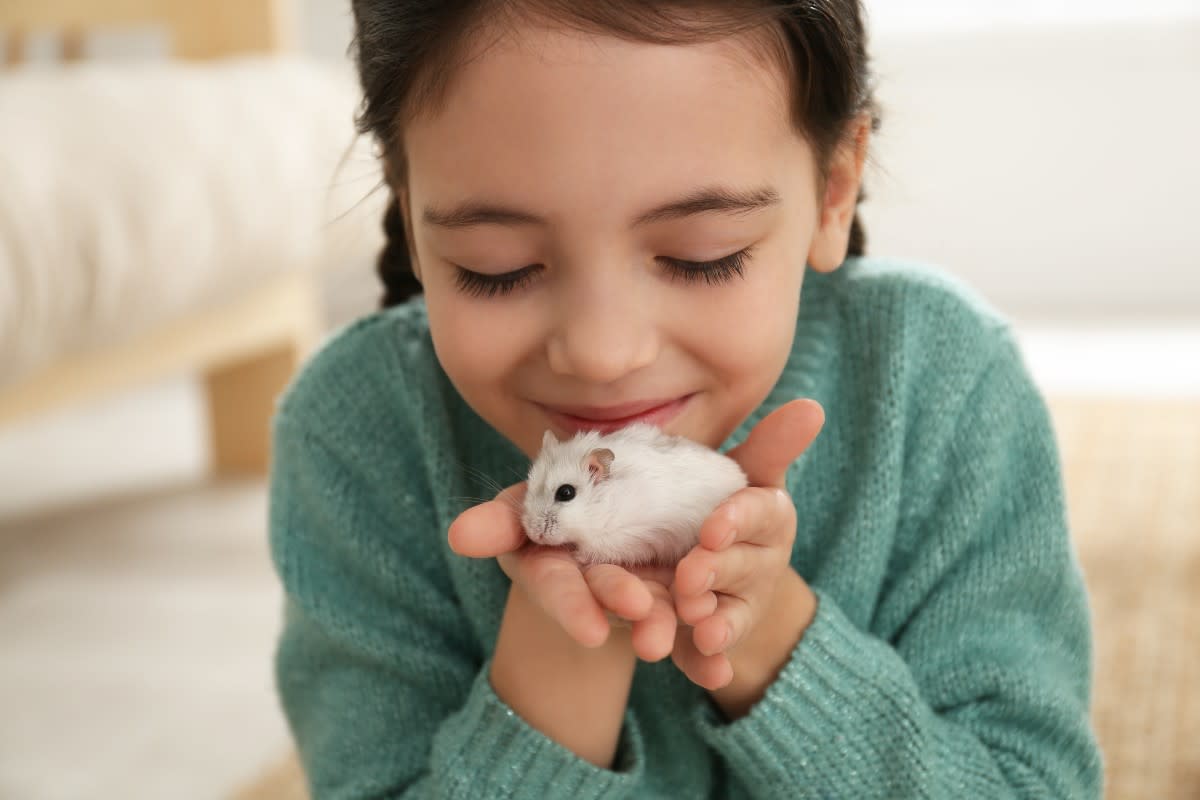 kid holding pet hamster