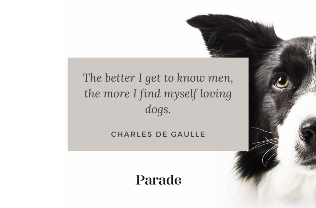 280 Best Dog Quotes About Their Love & Loyalty - Parade Pets