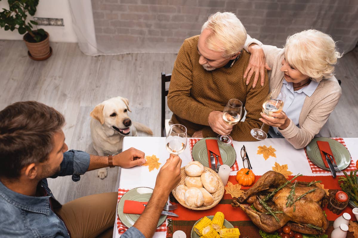 Can Dogs Eat Turkey Skin: Safety Tips for Pet Owners