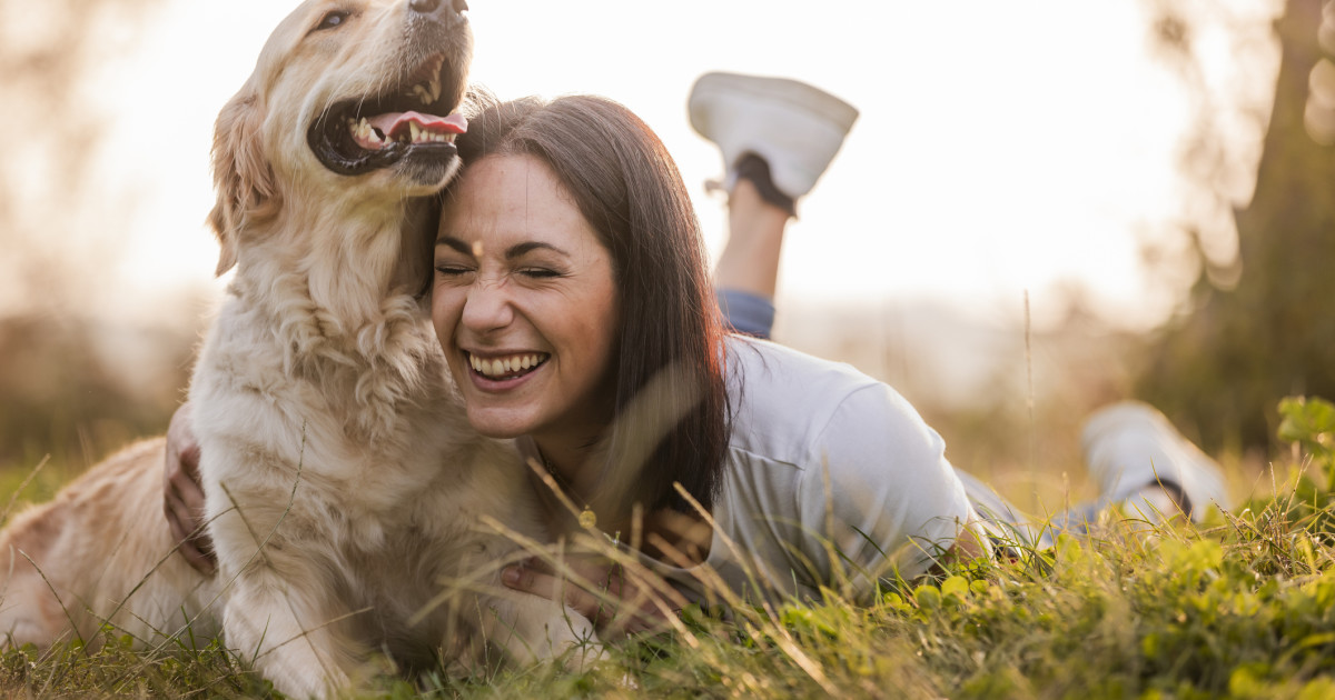 Soul Dog Soul Dog - Soul Dog - YouTube