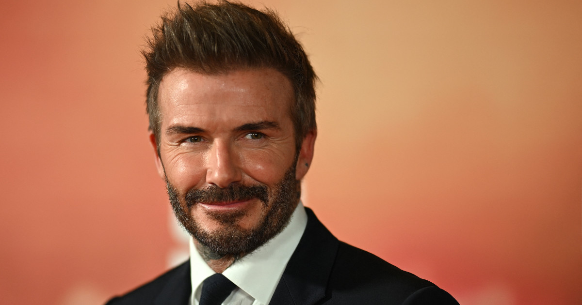 David Beckham's Dog Is the Most Adorable Workout Distraction - Parade Pets