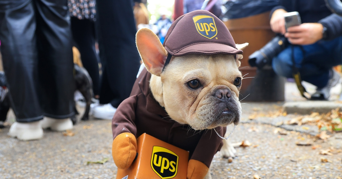 Keurigs, Doggy Parton, and KPop Demon Hunters Led the Biggest Halloween Dog Parade in NYC