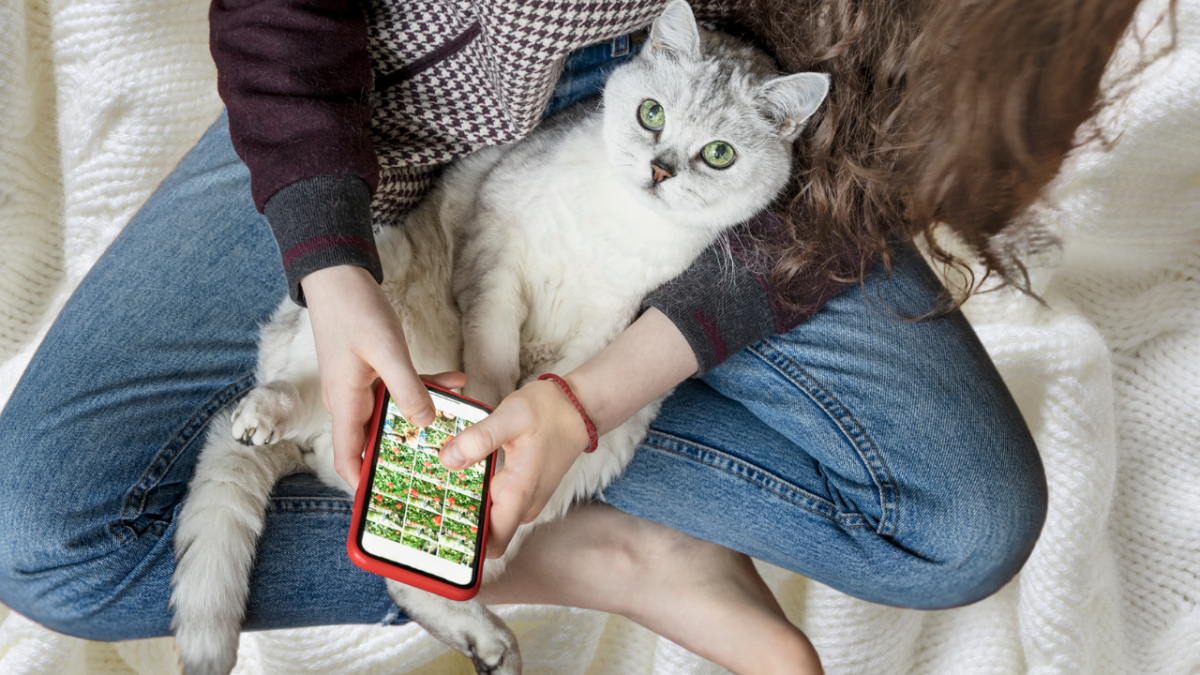 Do Cats Need Ac: Essential Tips to Keep Your Feline Cool