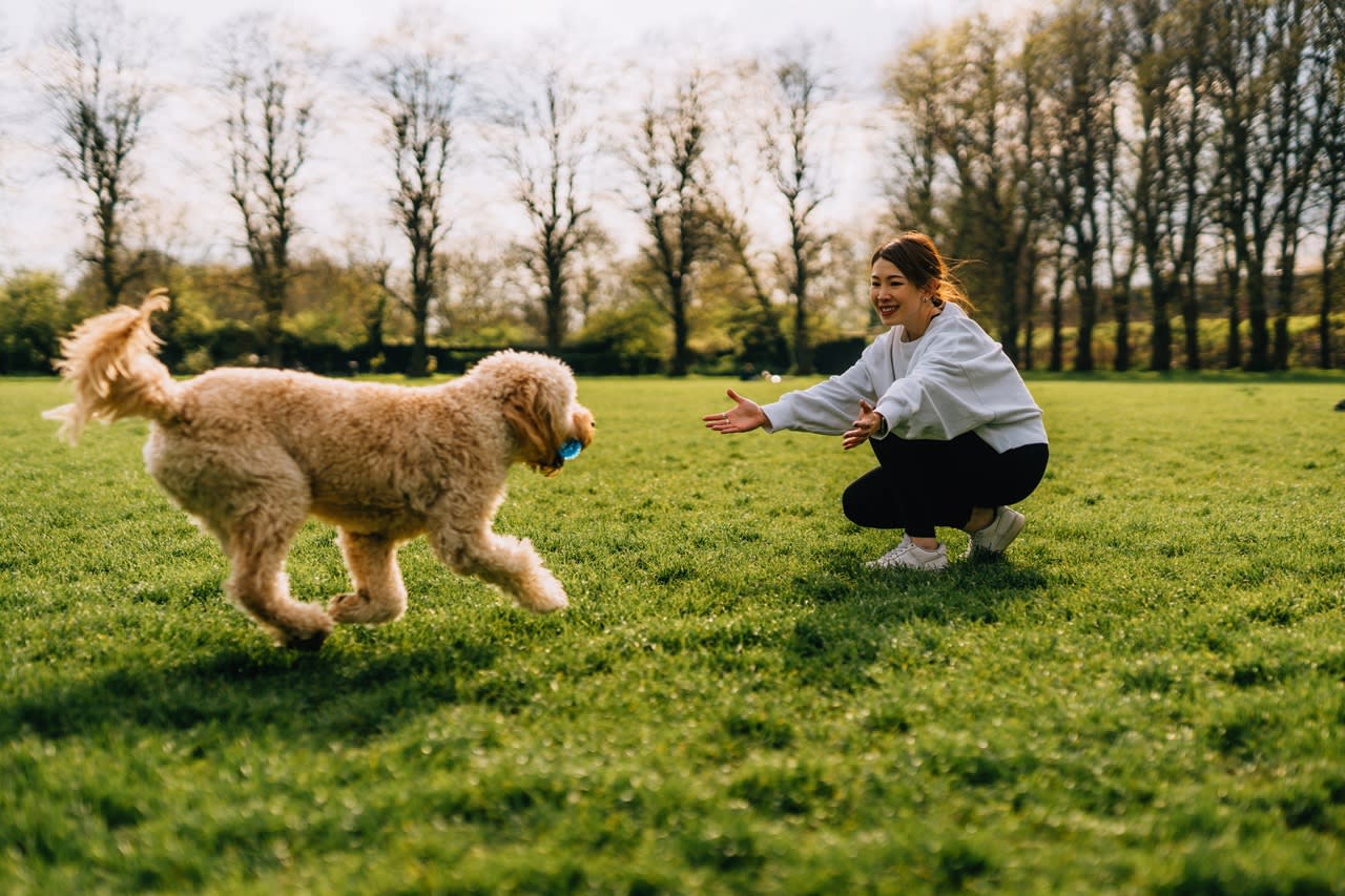 A happy dog running to its owner.