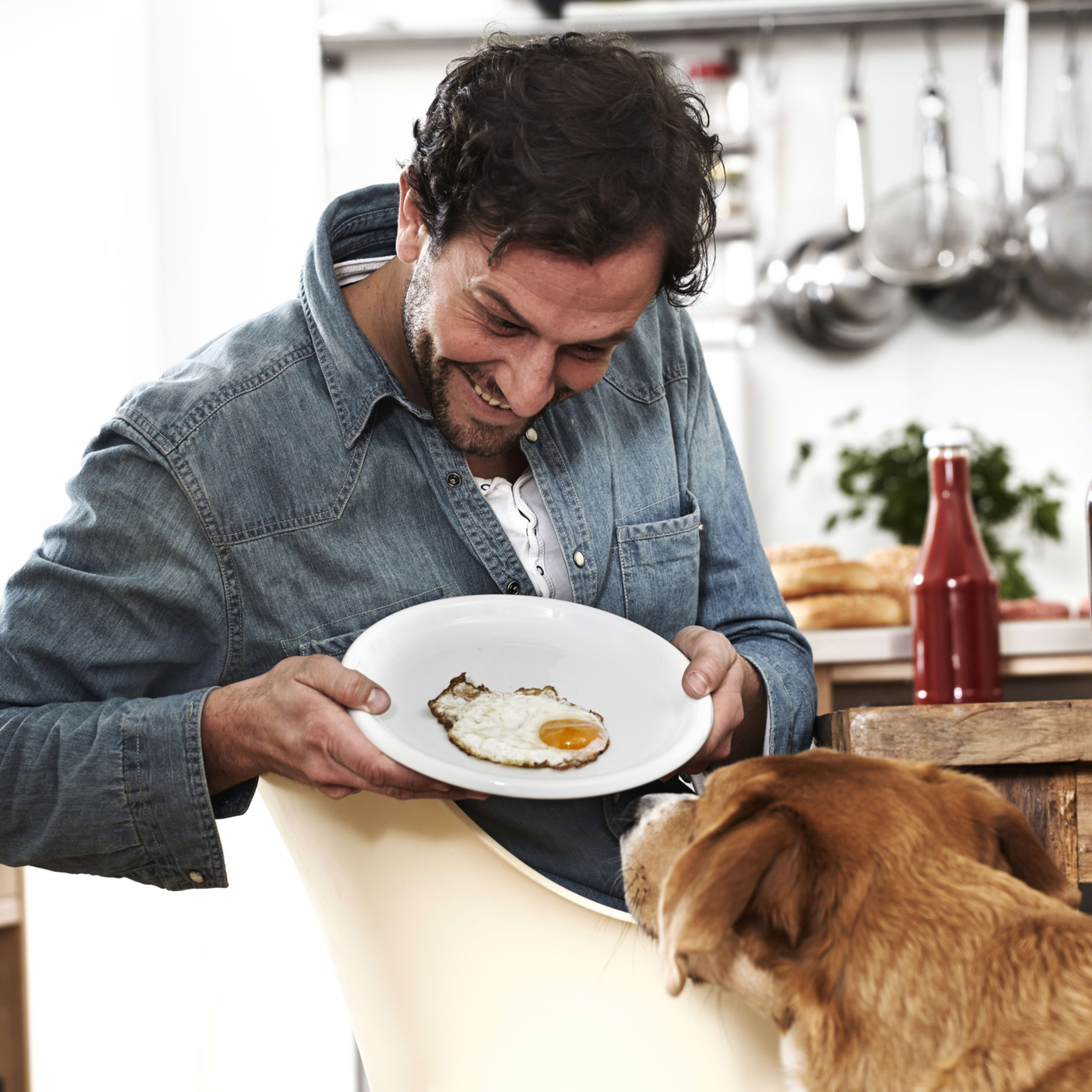 Can Dogs Eat Eggs? A Vet Shares What To Know To Keep Your Pup Safe