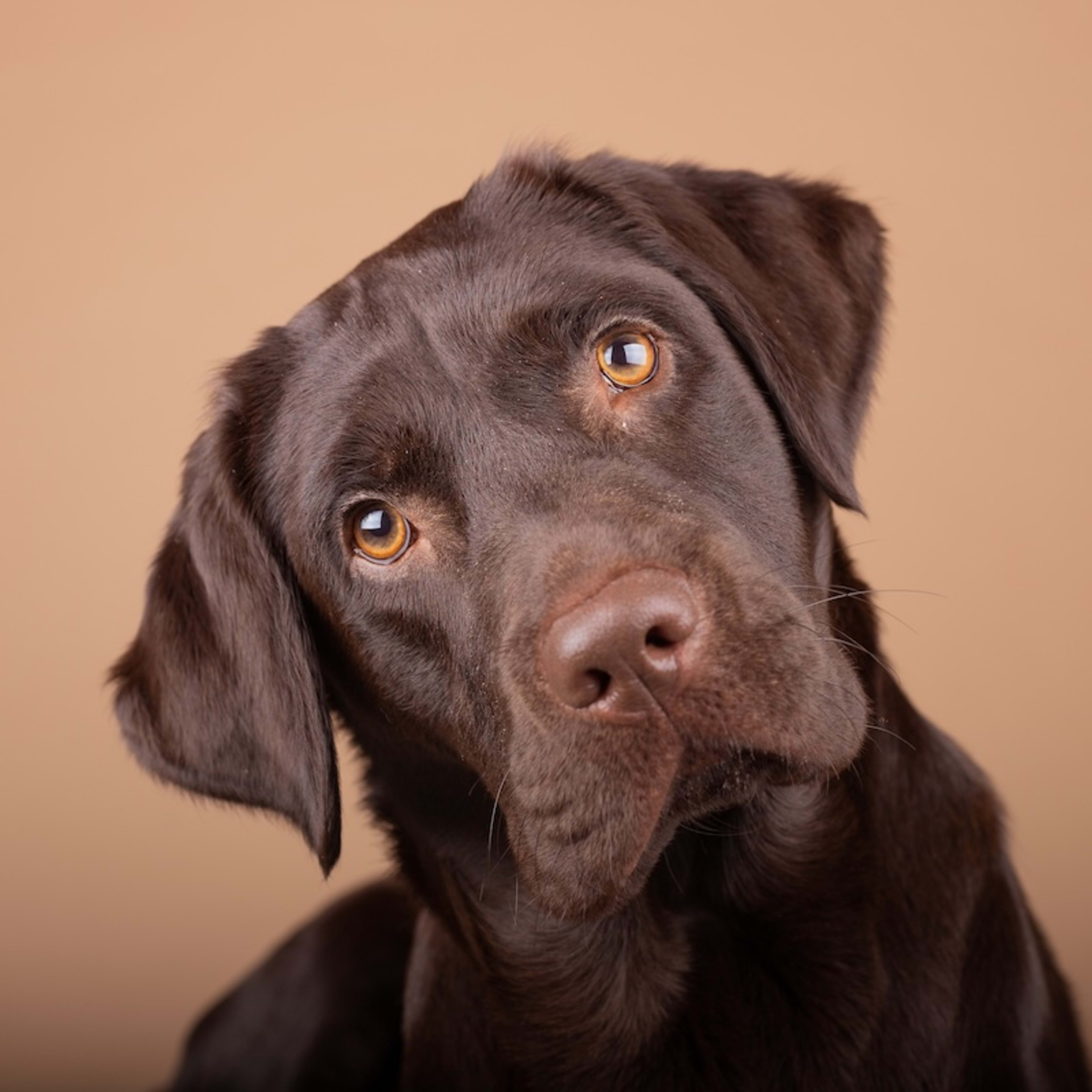 Fire The Depths (Max Tilt Series #1) By Peter Lerangis, Hardcover | Barnes & Noble