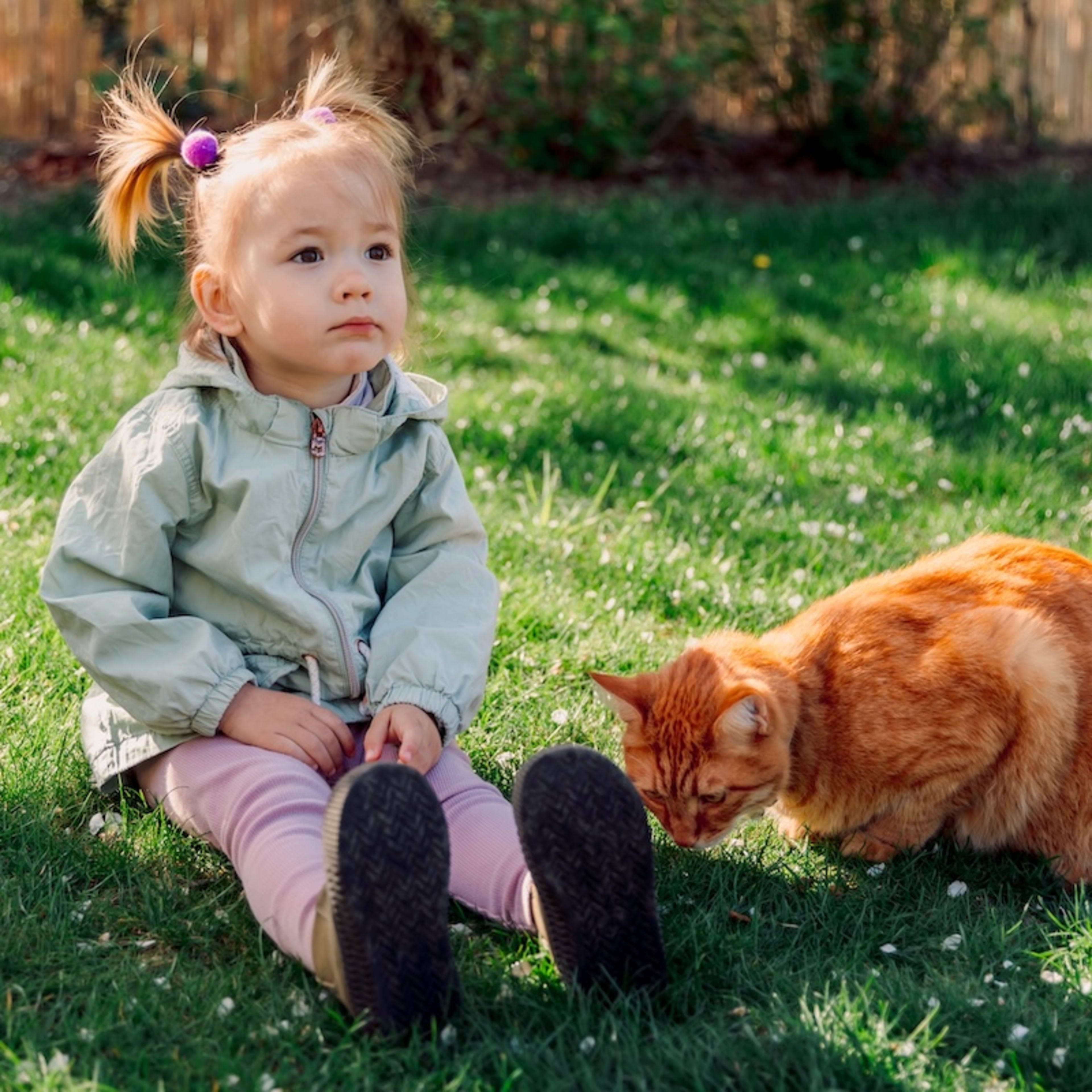 Toddler Doing ‘Grumble Voice’ To Feed Feral Cat Friends Is So Precious