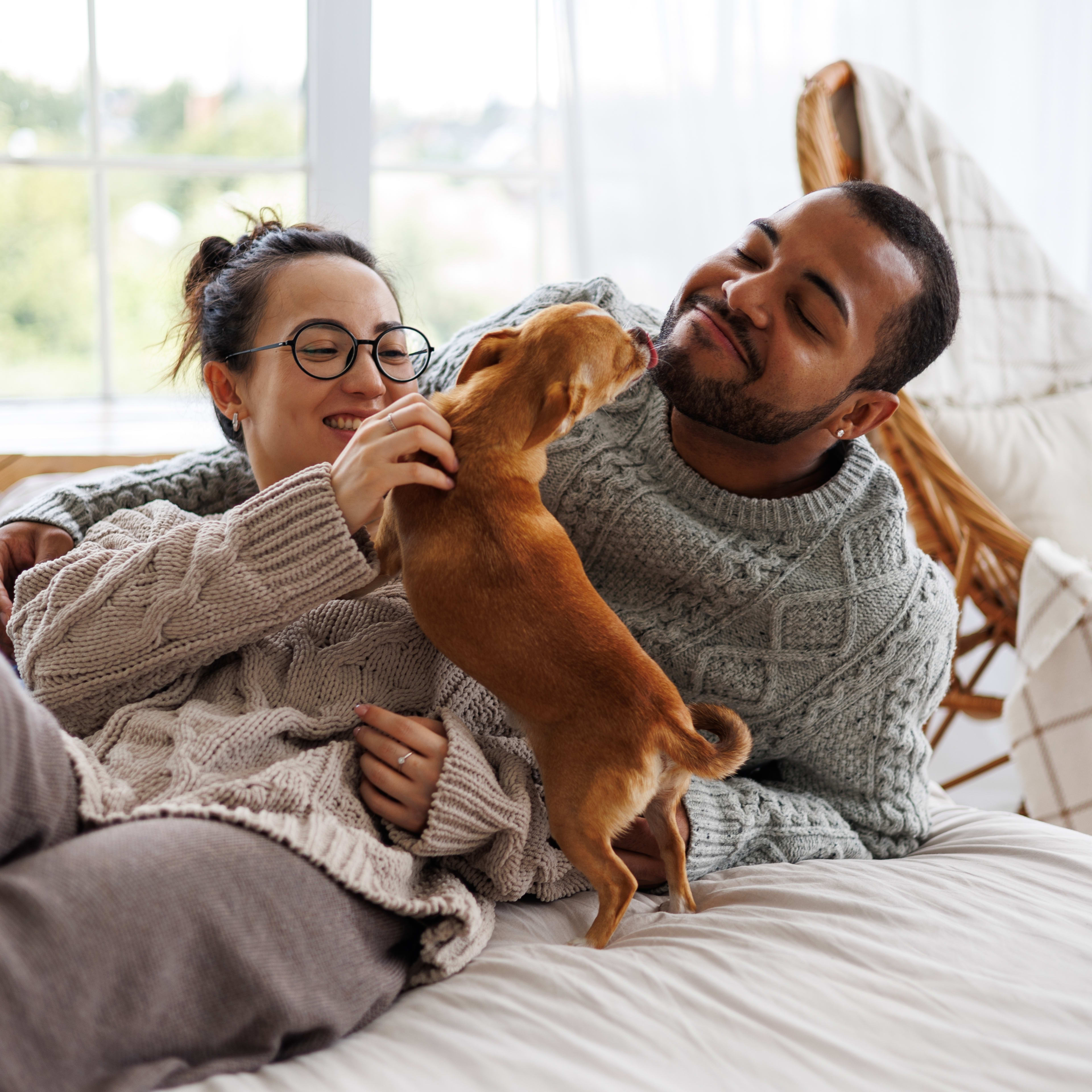This Simple Vet-Approved Dental Routine Could Save Your Dog's Life