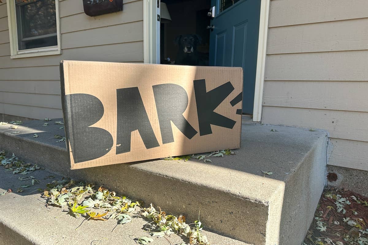 Bark Memes 101 Hilariously Relatable Art Memes, As Seen On This Online