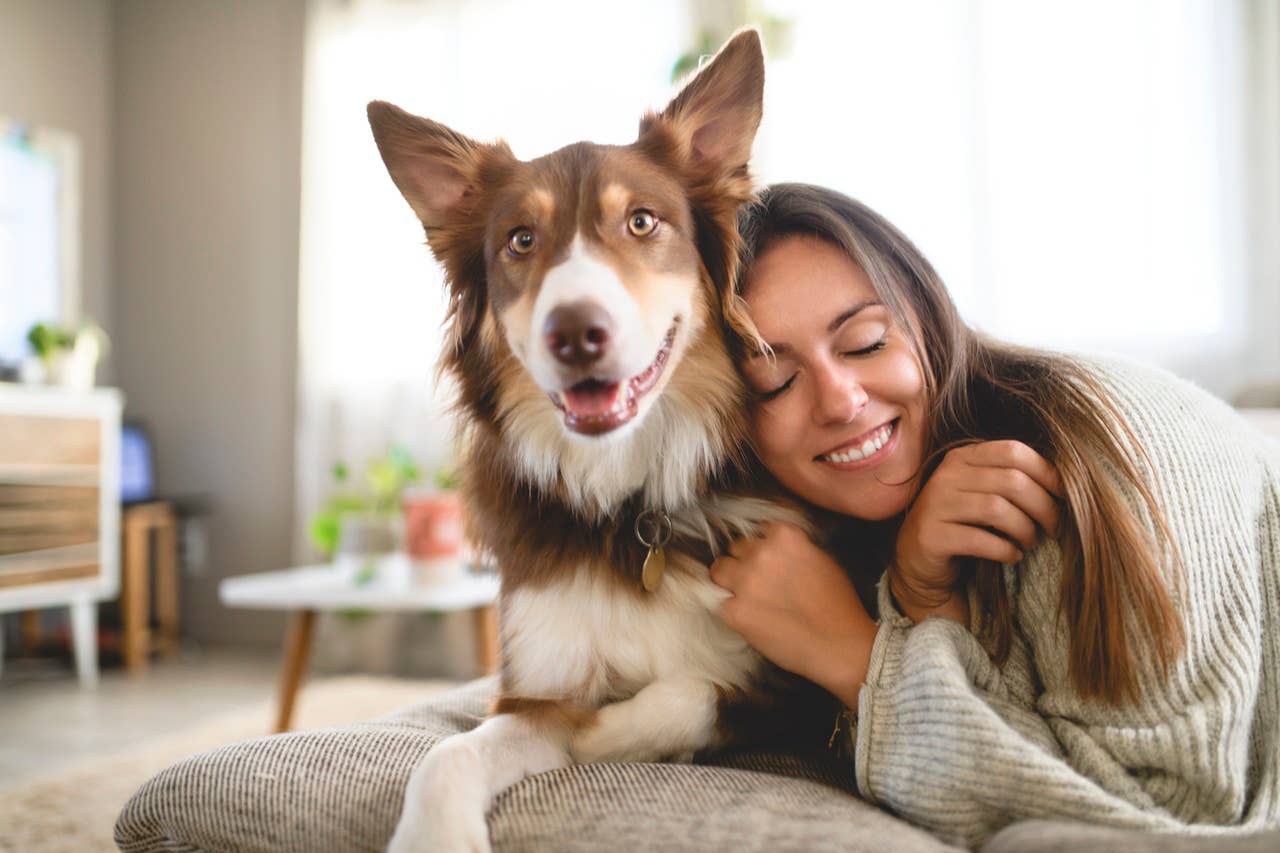 Sam's Club Healthy Sweet Potato Dog Treats Pet Parents Love - Parade Pets