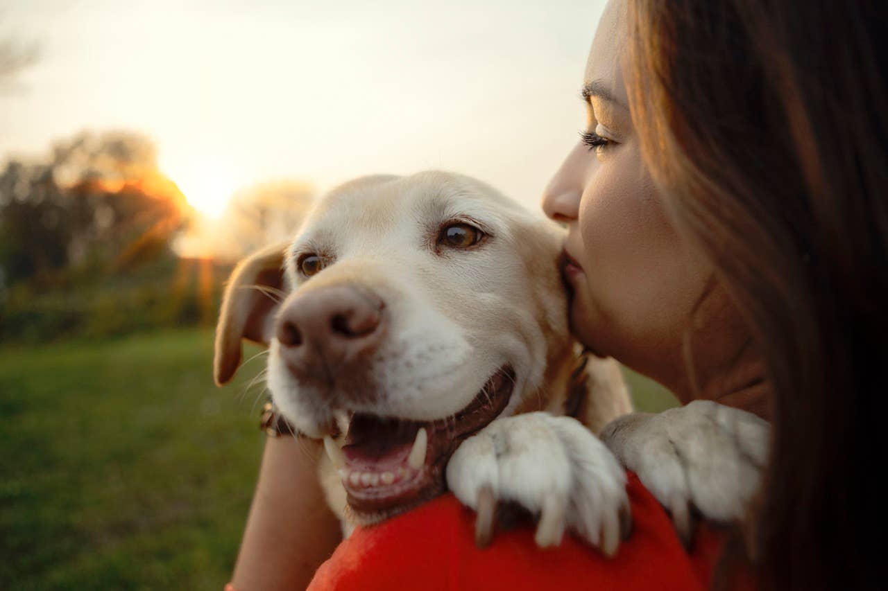 7 Dependable Dog Breeds Trainers Say You Can Always Trust - Parade Pets