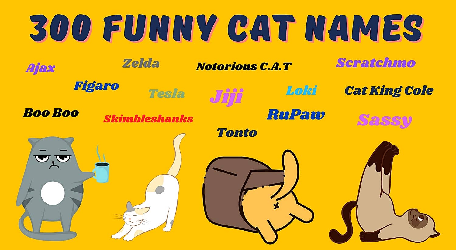 300 Funny Cat Names That Are Weird And Silly 300 Funny Cat Names That Are Weird And Silly