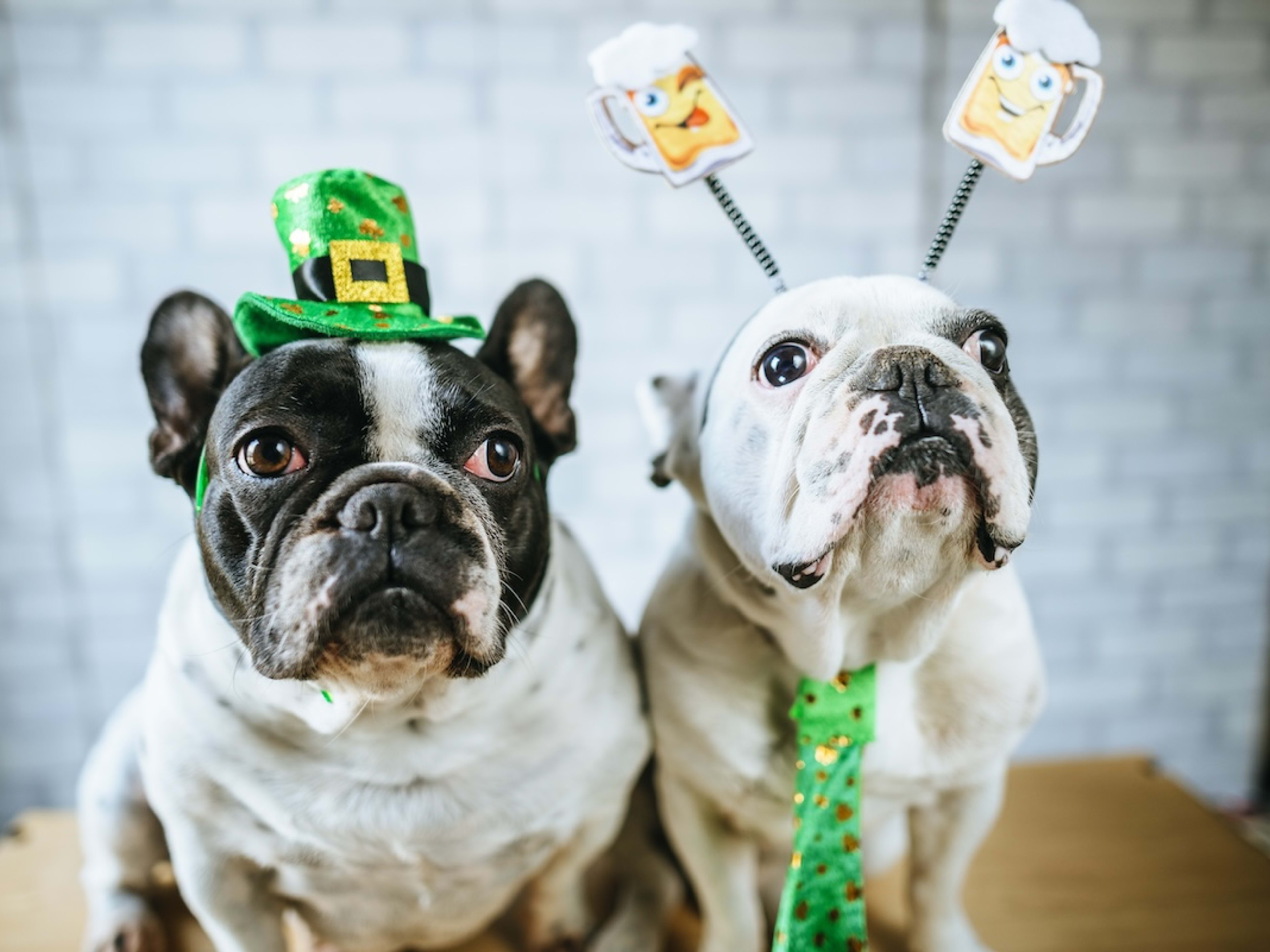 st pattys day poses
