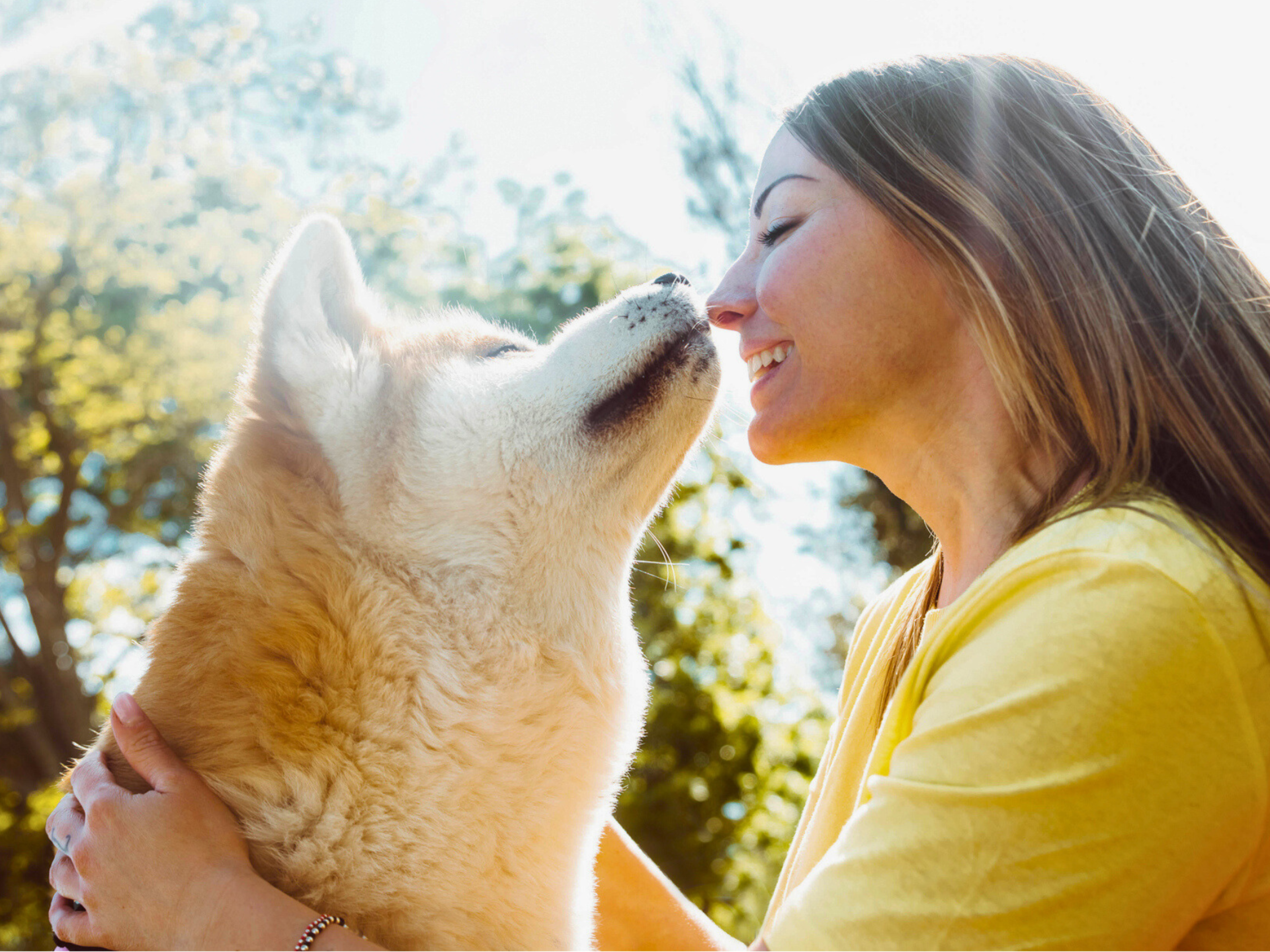 Most Loyal Dog Breeds: Unwavering Companions