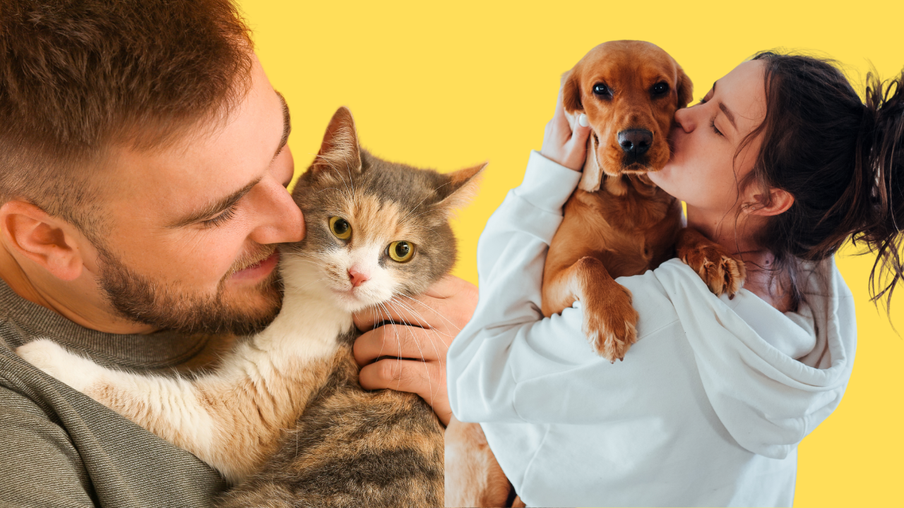 Do Cats Adopt Their Owners Personality? Surprising Truth Revealed