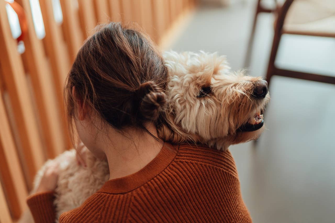 7 Signs Your Dog Is Empathetic and Has a Big Heart - Parade Pets