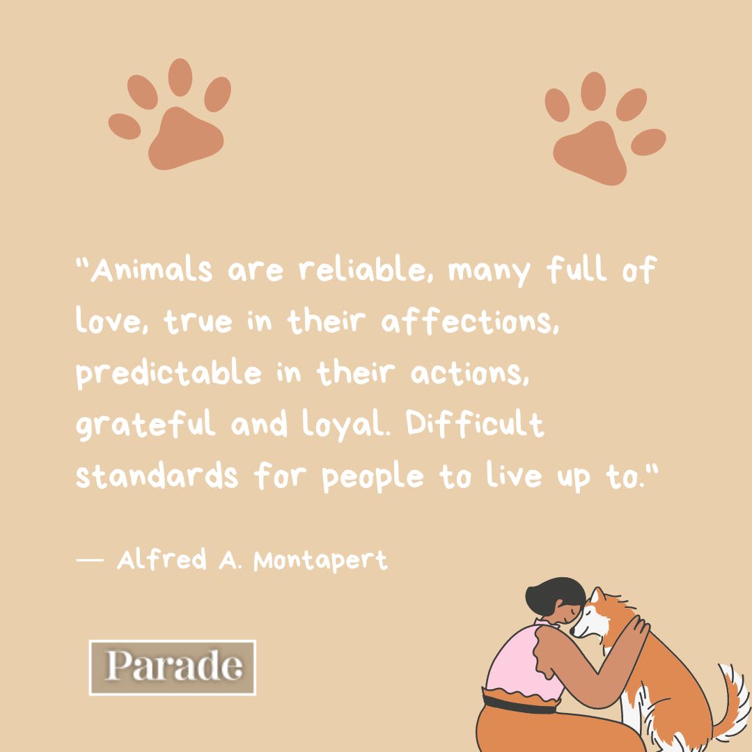 300 Best Pet Quotes to Share Your Love of Animals