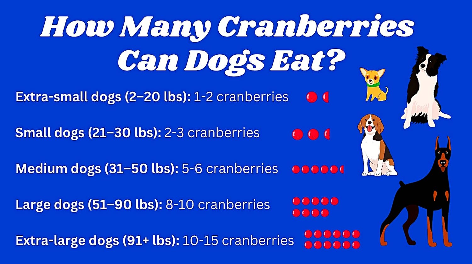 Stunning Can Dogs Eat Cranberries image