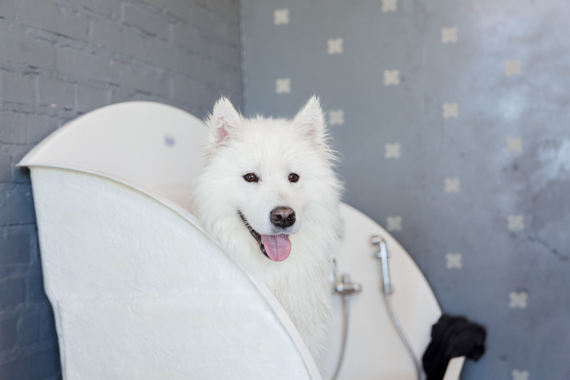 samoyed Soft Ice Cream Skirt Vanila
