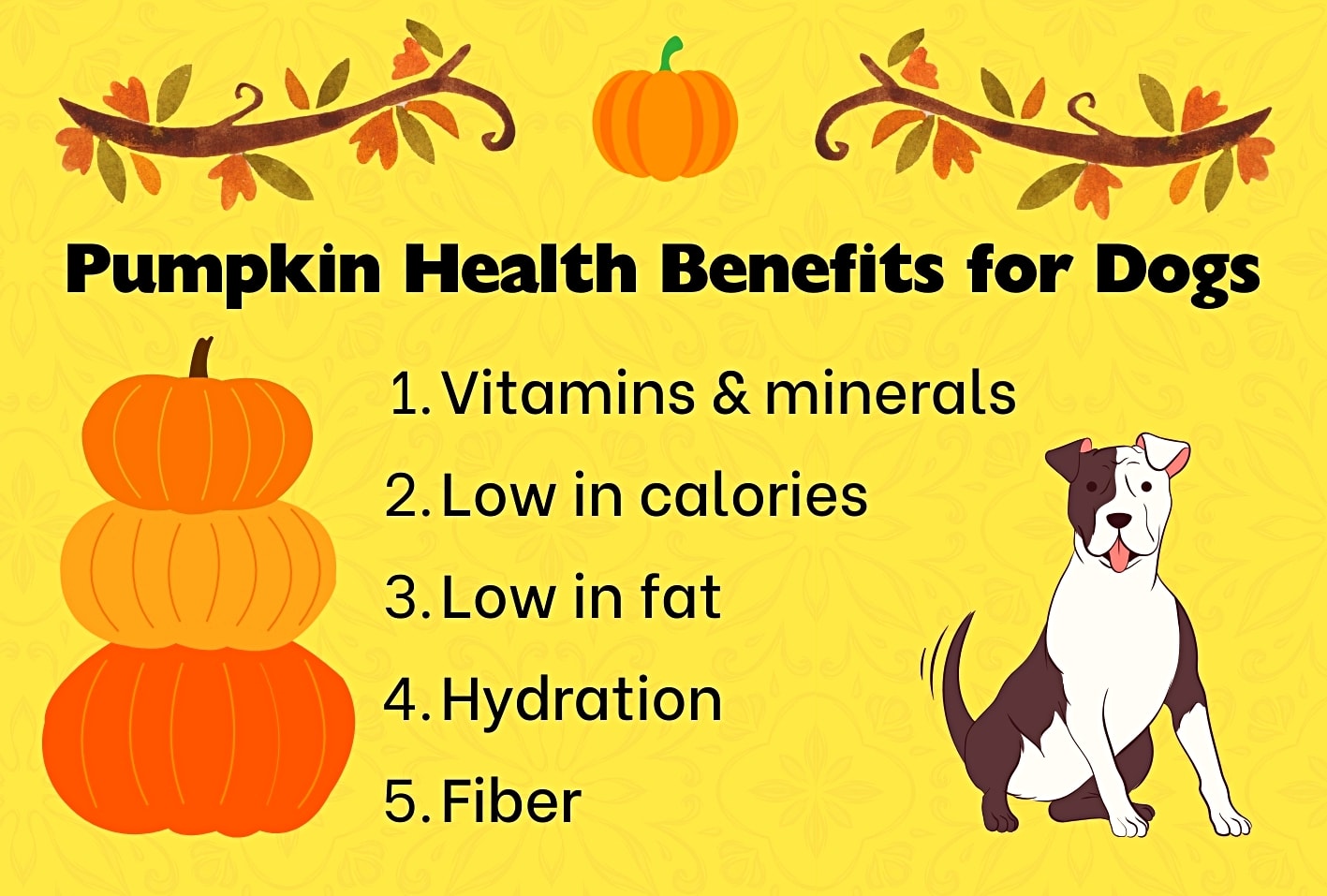how is pumpkin good for dogs