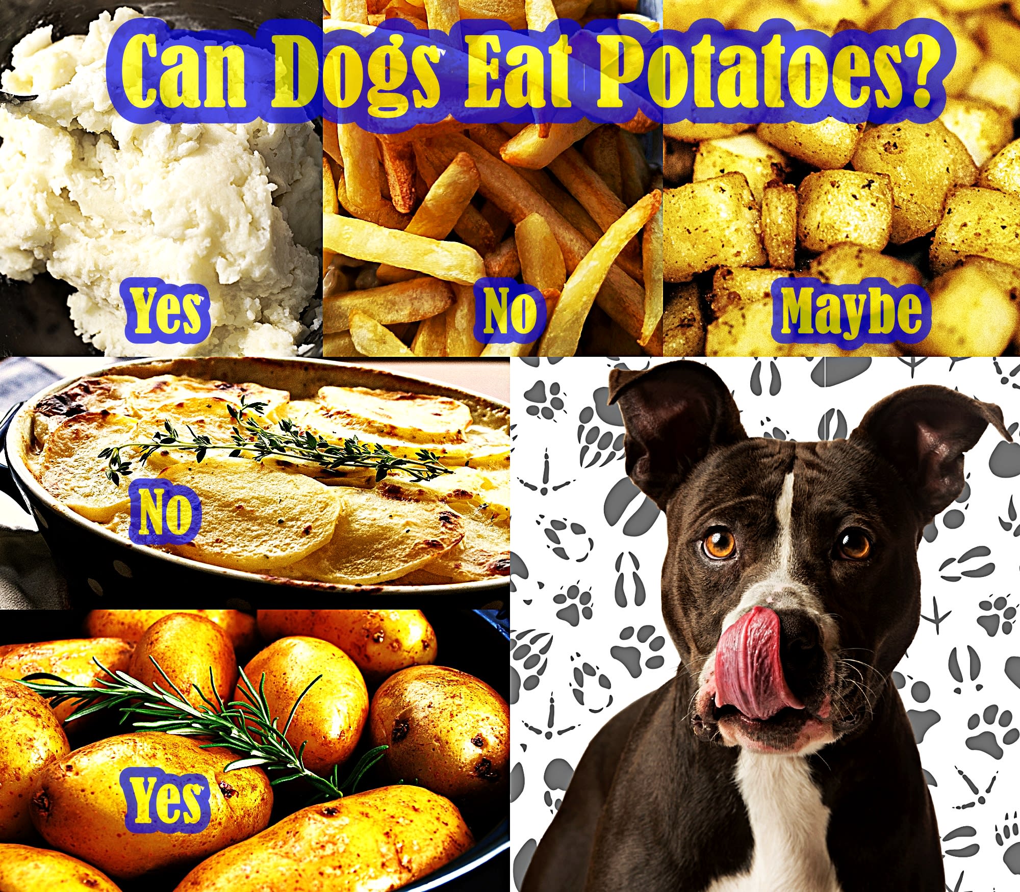 mashed potatoes bad for dogs