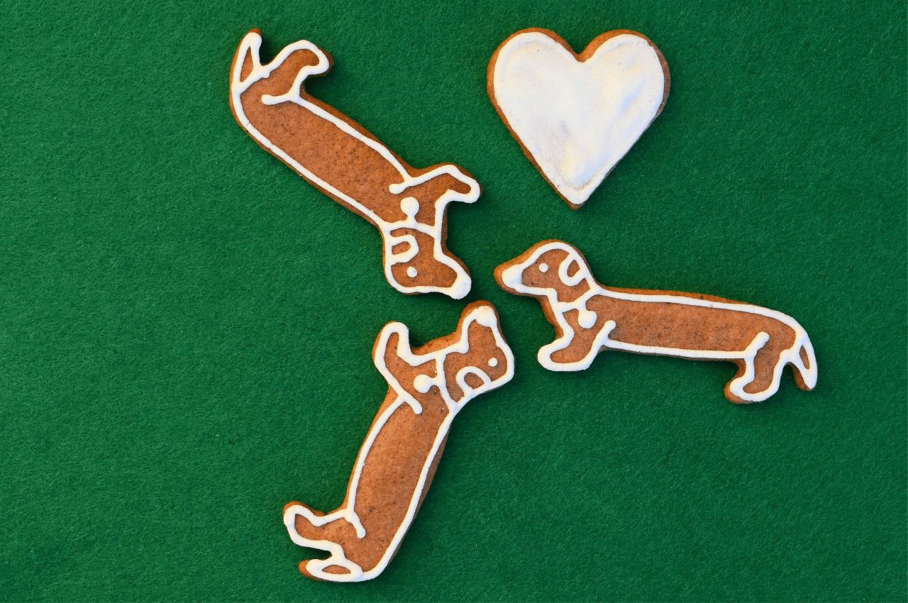 Can Dogs Eat Gingerbread A Vet Explains can-dogs-eat-gingerbread-a-vet-explains