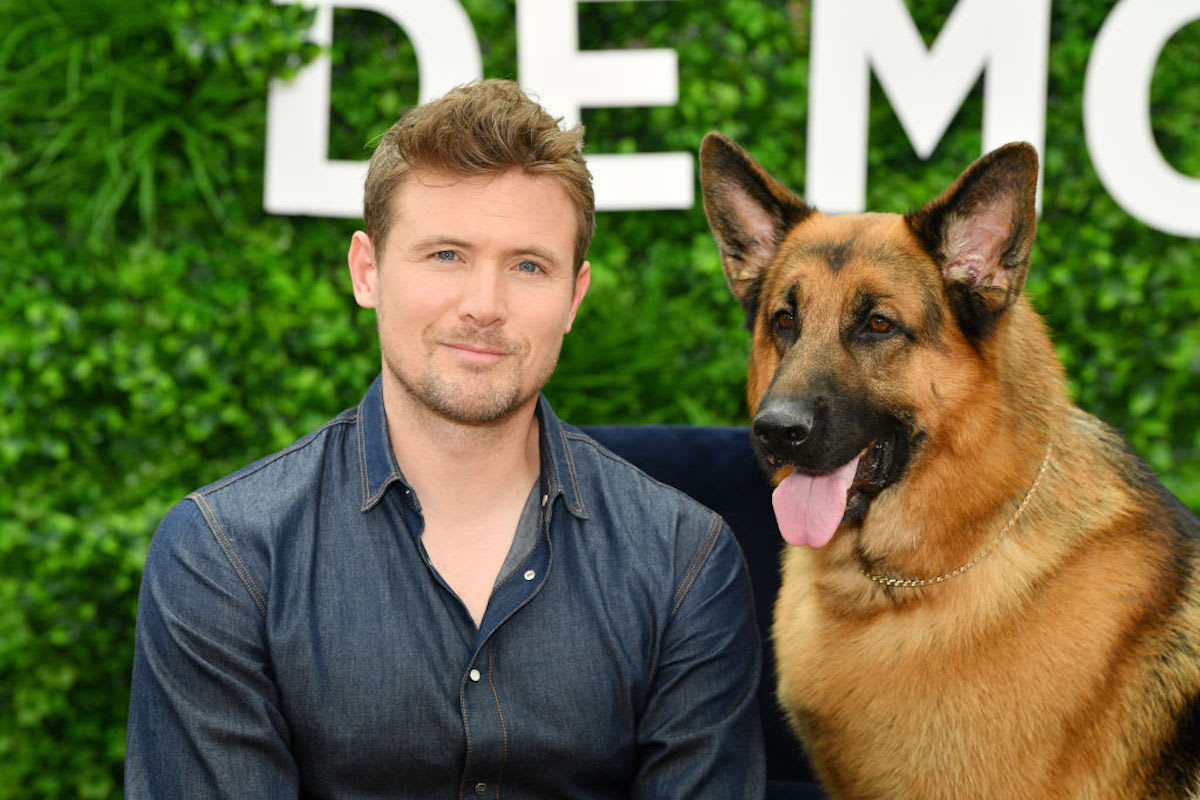 Beloved German Shepherd Star of 'Hudson & Rex' Passes Away and Everyone ...