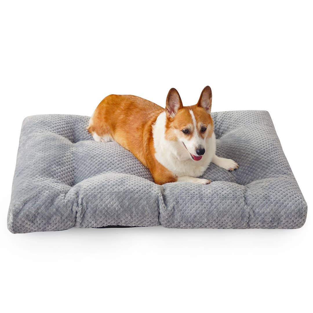 Walmart's Cosyjoy Dog Bed Is a Must-Have
